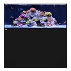 WATERBOX REEF 130.4 BLACK